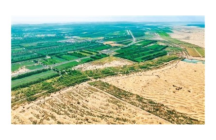 看！綠意在荒漠戈壁上鋪展