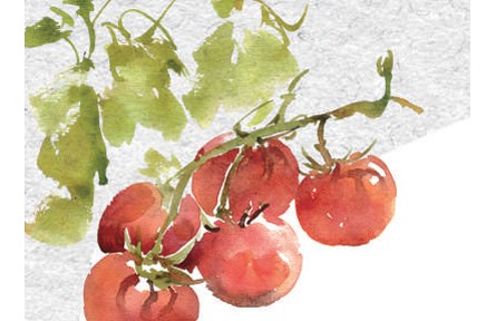 遼河入?？?堿地番茄鮮