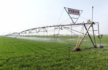 這個(gè)農(nóng)場，如何沖刺“噸半糧”