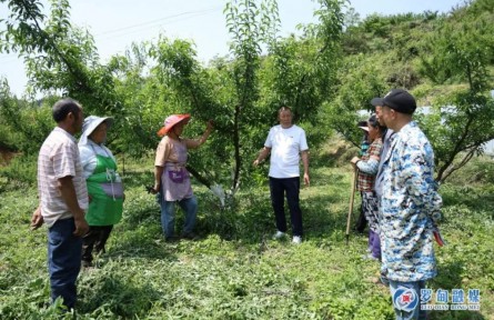 胡正明：丹心書(shū)寫(xiě)“耕耘志”，麻山深處“種樹(shù)人”