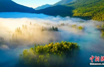 新疆阿勒泰：從夏牧場出發(fā)，探尋北疆之北的人間仙境