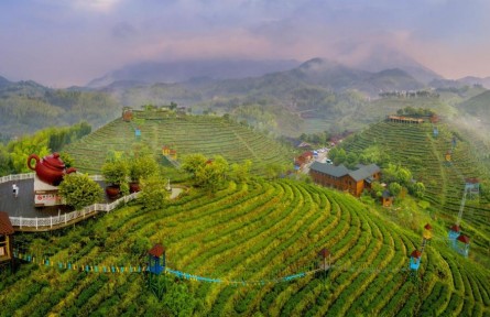 福建三明：品牌賦能，讓高質(zhì)量發(fā)展成色更足