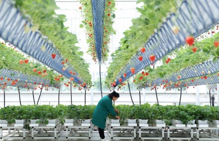 管“飽”也管“好”，大食物觀有什么講究？