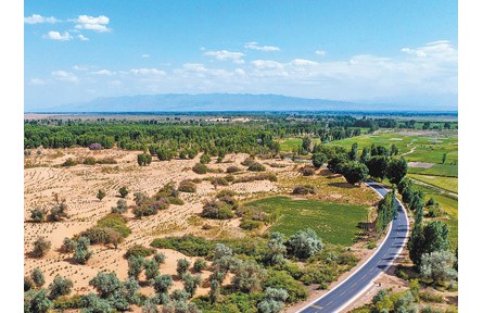 推進科學(xué)化、規(guī)?；紊场覈嗄曛卫砩郴恋爻齼|畝