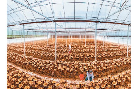 生態(tài)文明視角下的文化和自然遺產(chǎn)保護