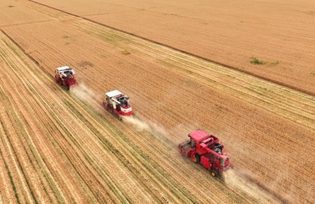 智能農(nóng)機(jī)、“鏈”式服務(wù)、節(jié)水抗旱 看看今年“三夏”生產(chǎn)的新變化