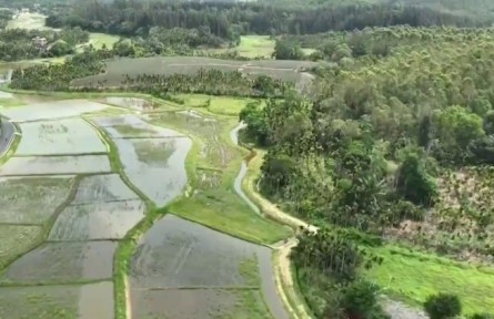 海南：多部門(mén)聯(lián)動(dòng) 打造稻漁綜合種養(yǎng)“海南模式”