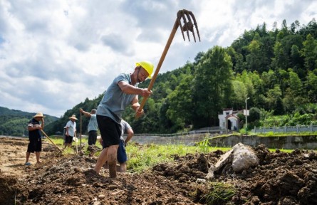 為何上漲？何時(shí)回穩(wěn)？——透視當(dāng)前蔬菜價(jià)格走勢(shì)
