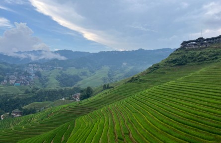 不挖金也能淘到“真金”，大寨村用“一田生五金”