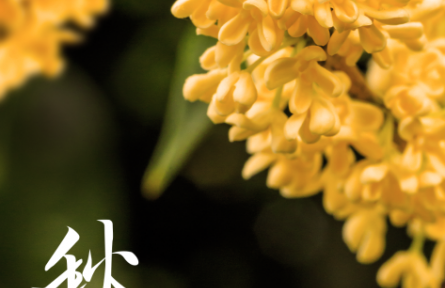 當(dāng)秋分遇上豐收節(jié)，又是一年好“豐”景