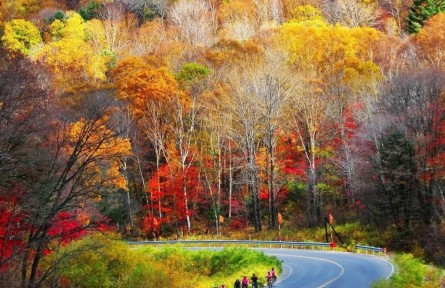 長白秘境，吉線331！中國國家地理考察傳播活動啟動！