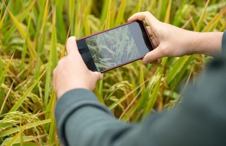 網(wǎng)上種田、養(yǎng)牛能暴富？小心落入這類(lèi)陷阱