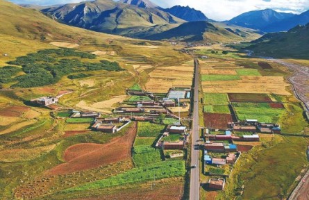 青海囊謙：農(nóng)牧“共舞”，繪就新時代好風景