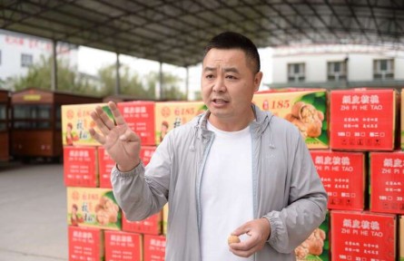 把小核桃做成產(chǎn)業(yè)鏈，創(chuàng)業(yè)青年在新疆農(nóng)村找到“第二故鄉(xiāng)”