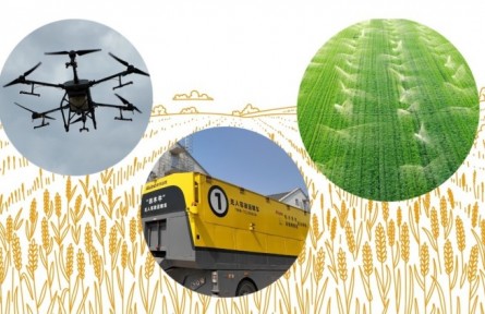 世界糧食日：糧食安全如何實(shí)現(xiàn)？新農(nóng)人、專家、倉(cāng)管員三重身份體驗(yàn)