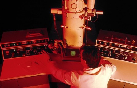 科技名詞|透射電子顯微鏡 transmission electron microscope；TEM