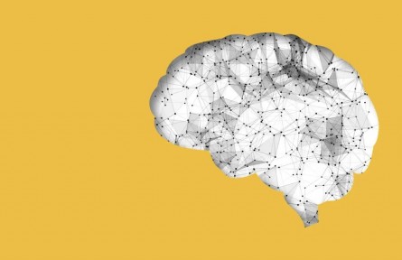 辟謠|腦袋大的孩子，一定聰明？