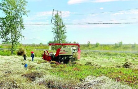 青海：農(nóng)牧業(yè)發(fā)展穩(wěn)中有增、勢頭良好