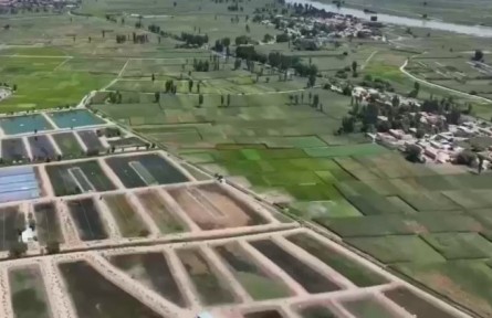 甘肅：加強鹽堿地治理 提高綜合生產能力