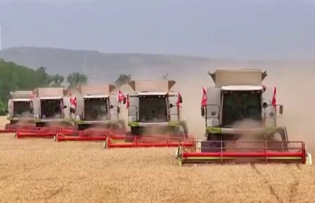 我國糧食產(chǎn)量首次邁上1.4萬億斤新臺(tái)階（視頻）