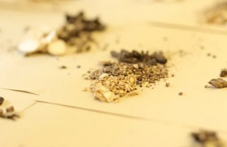 冬令進補，怎么補你知道嗎？