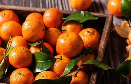 辟謠|砂糖橘致癌？柑橘不能吃了？別信謠言