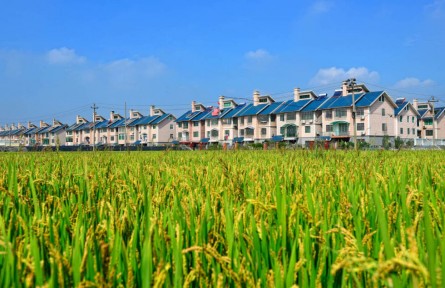 浙江嘉興：農(nóng)民“錢袋子”連續(xù)21年領(lǐng)跑全省