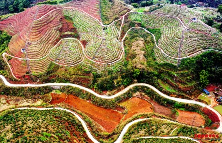 激勵干部勇當改革的促進派實干家