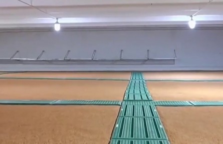 國家糧食和物資儲備局：全國累計(jì)收購2.5億噸 秋糧入倉忙