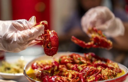 辟謠|這類保鮮膜使用不當，或有毒有害！如何挑選？