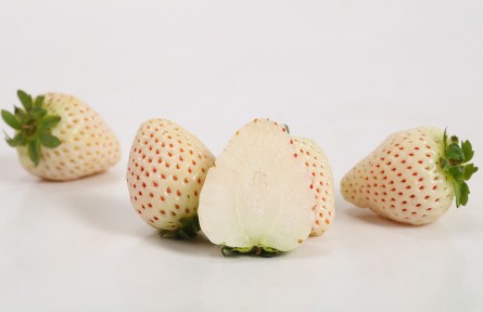 這些關(guān)于草莓的錯(cuò)誤說法，你信過嗎？