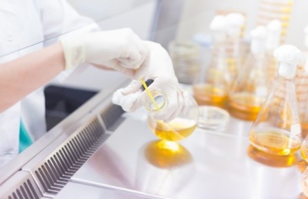 在生命科學(xué)研究中，人工智能發(fā)揮哪些作用？