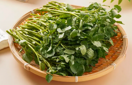 它被國(guó)外評(píng)為最具營(yíng)養(yǎng)活力的蔬菜，但我打賭90%的人沒(méi)吃過(guò)