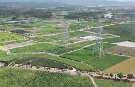 【新思想引領新征程】科技加力賦能 繪就農業(yè)現代化新圖景