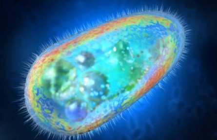 原來機器人還能這樣