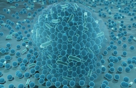 科技名詞|生物膜 biological membrane；biomembrane