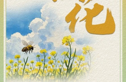 油菜花哪里賞？快收下這份油菜花賞花氣象指南！