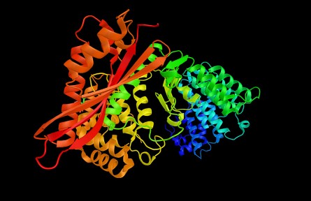 科技名詞|膠原酶 collagenase