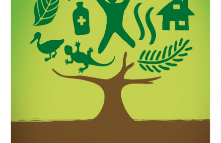 國際森林日|守護森林，守護生命之源