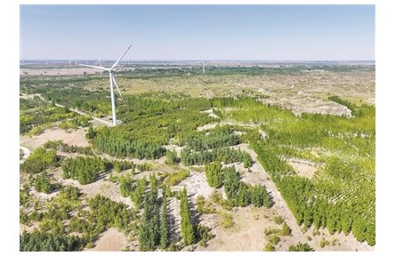 科技賦能“植”此青綠