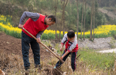 全民義務(wù)植樹運動 nationwide voluntary tree-planting campaign