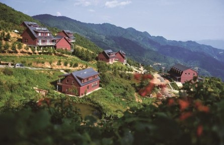 旅居云南：南澗縣無(wú)量藥谷 打造康養(yǎng)旅居勝地