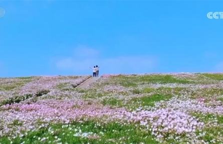 農(nóng)業(yè)農(nóng)村部推出“美麗鄉(xiāng)村游”60條精品線路 有何“亮點”？