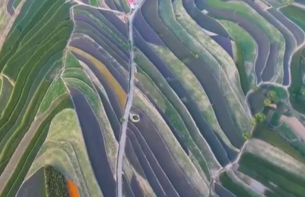 甘肅：千年藥鄉(xiāng)鍛造中醫(yī)藥產(chǎn)業(yè)強省