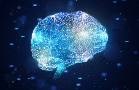 科技名詞|神經(jīng)激素 neurohormone