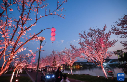 美麗鄉(xiāng)村開(kāi)啟“春日花朝節(jié)”