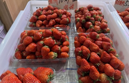 辟謠|最近不能吃草莓，因?yàn)橛小安葺痢保?></a></td>
<td align=