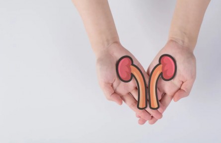 辟謠|一喝水就上廁所說(shuō)明腎不好？吃黑色食物能養(yǎng)腎？來(lái)看真相