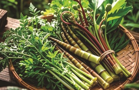 野菜嘗鮮季，如何避免舌尖風(fēng)險(xiǎn)