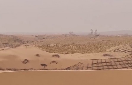 內(nèi)蒙古：新科技破解治沙難點(diǎn) 毛烏素沙地春季治沙工作開展